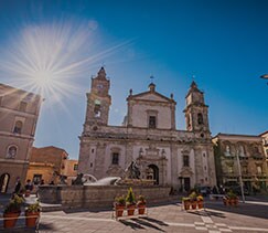 caltanissetta_243x211