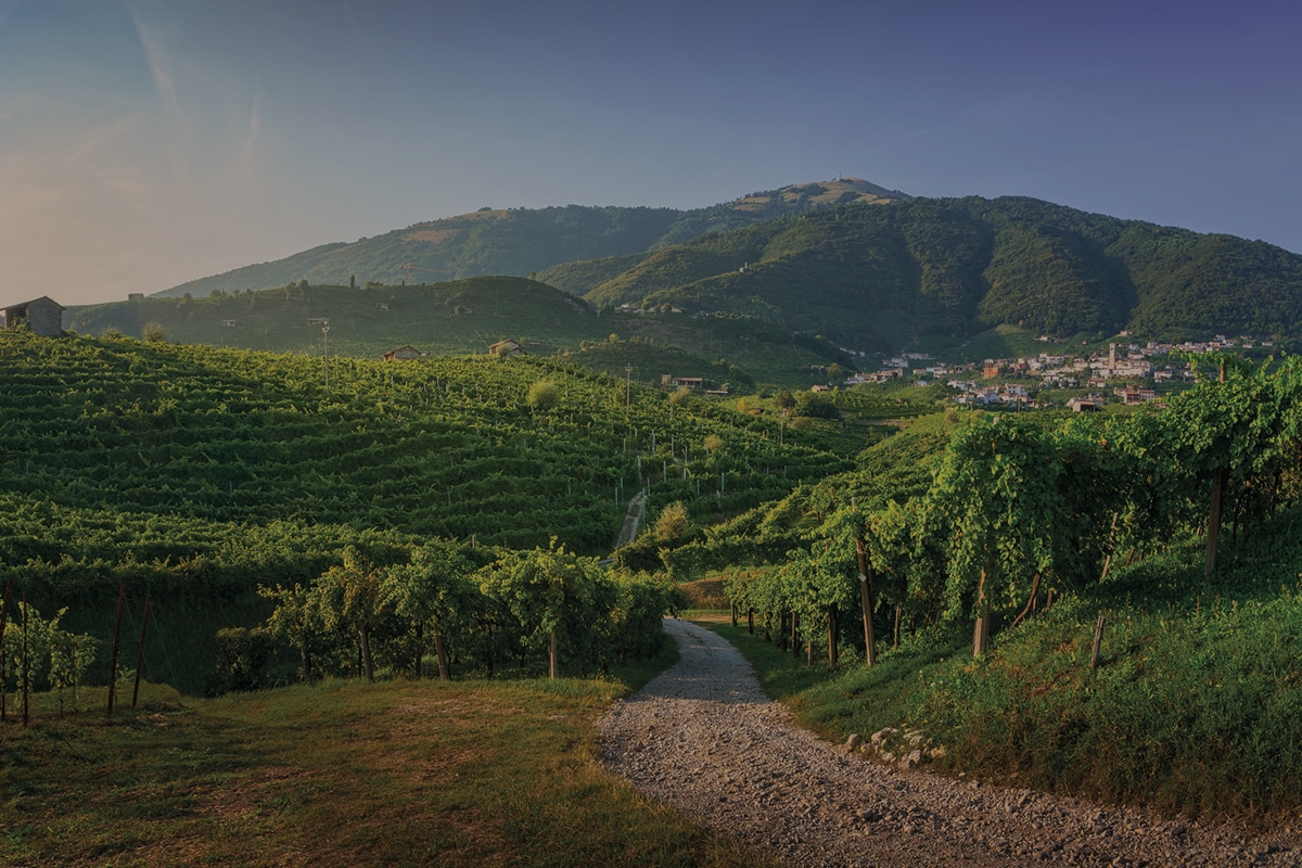 veneto_motore_1200x800